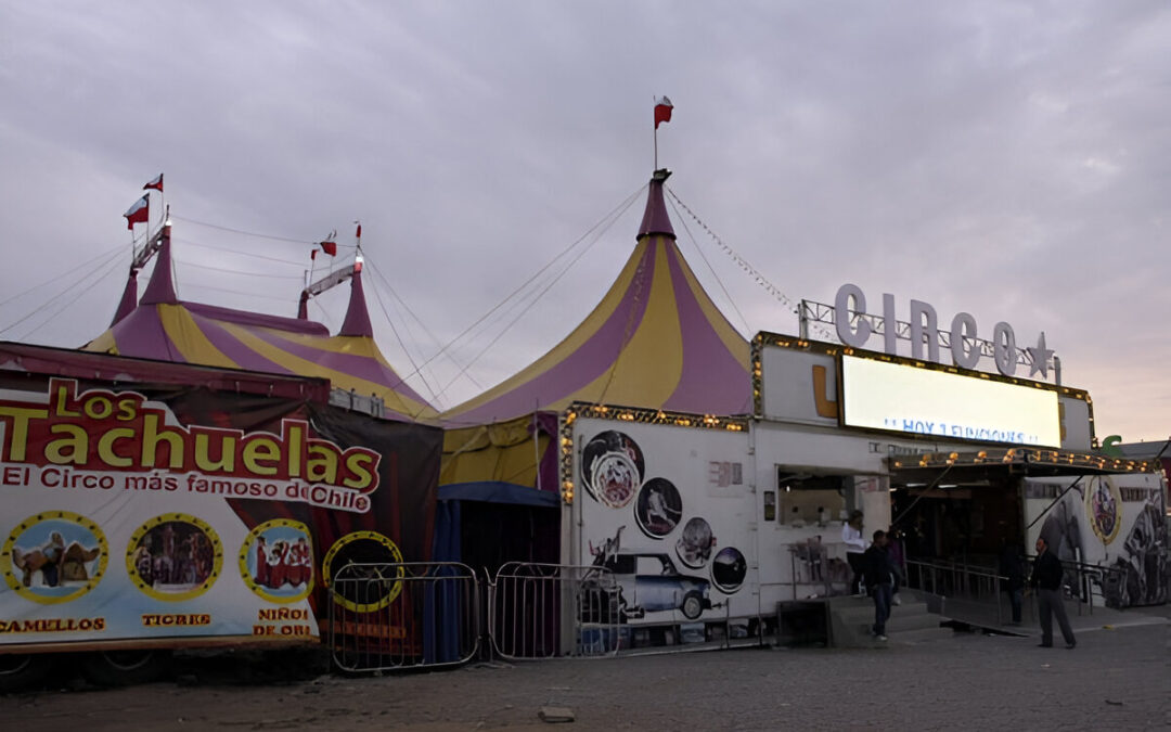 Circos en la cuerda floja